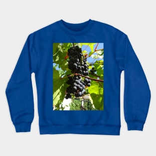 A bunch of black grapes under the blue sky Crewneck Sweatshirt